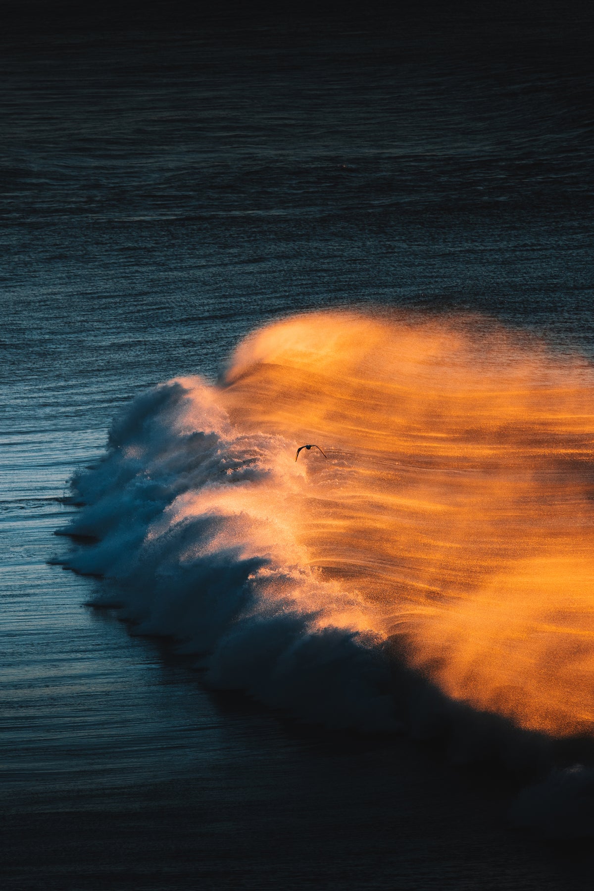 Golden Glow