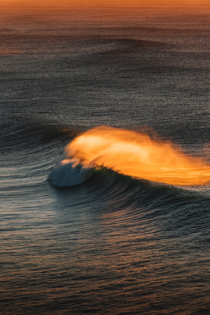 Golden Glow