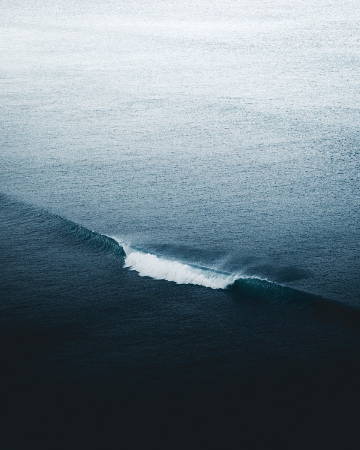The Wave