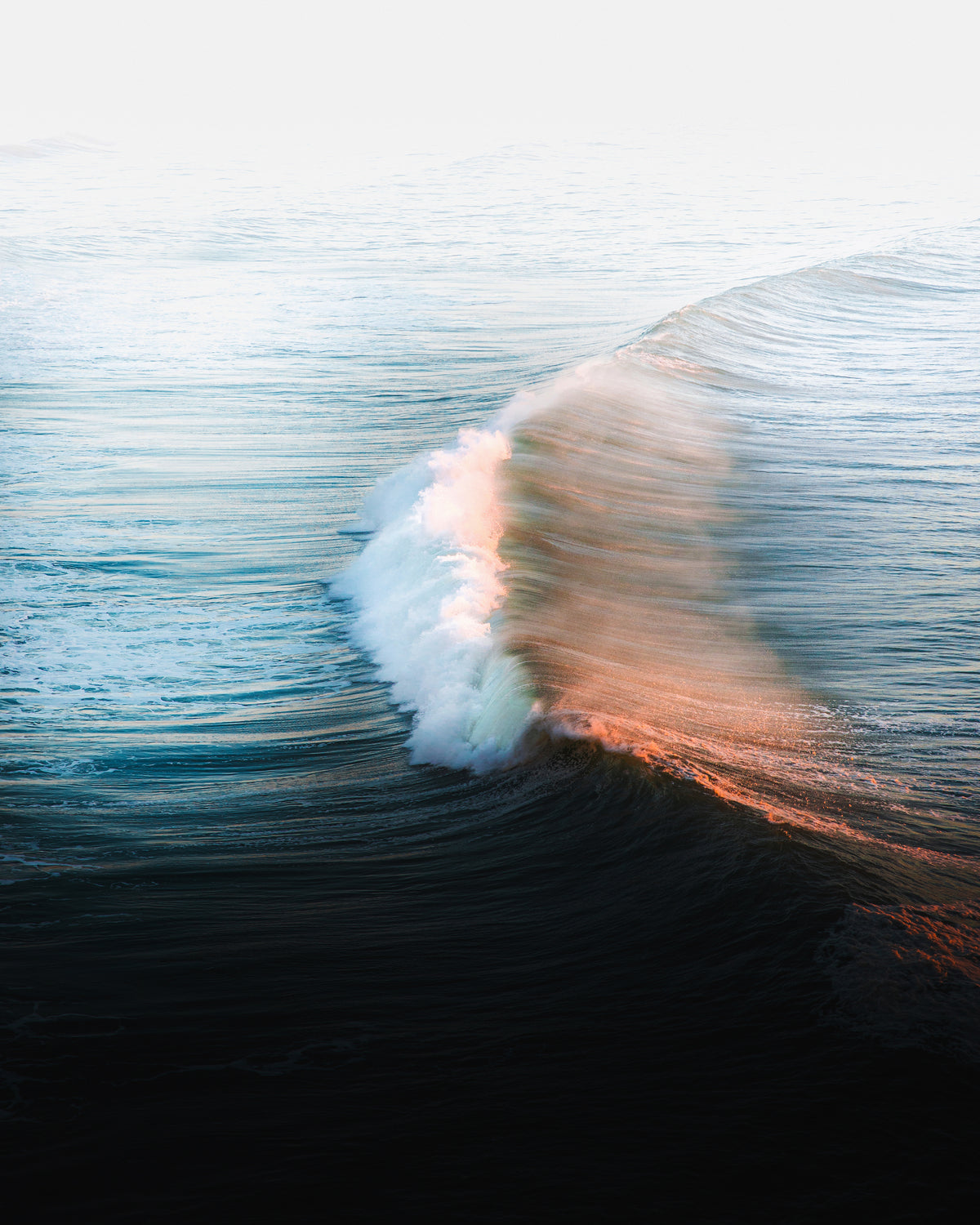 The Wave